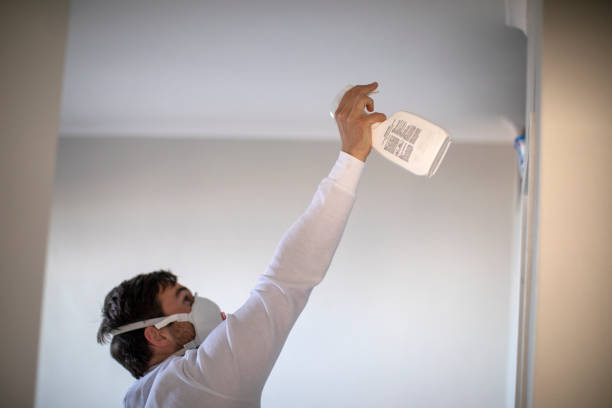 Best Emergency Mold Remediation in Palo Alto, CA