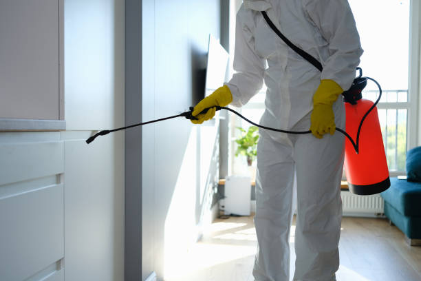 Best Residential Mold Remediation in Palo Alto, CA